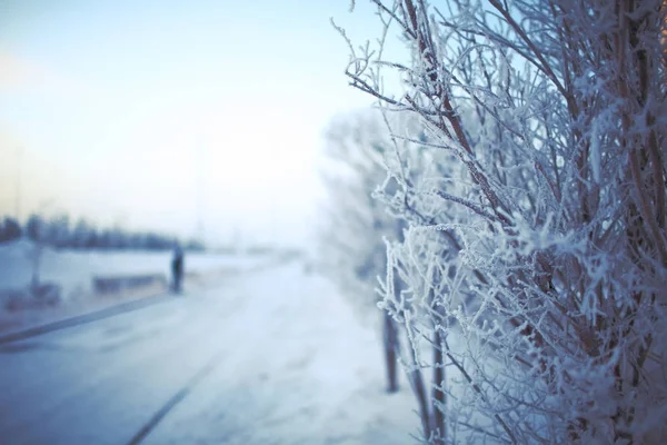 Winter morning in the coutryside — Stock Photo, Image