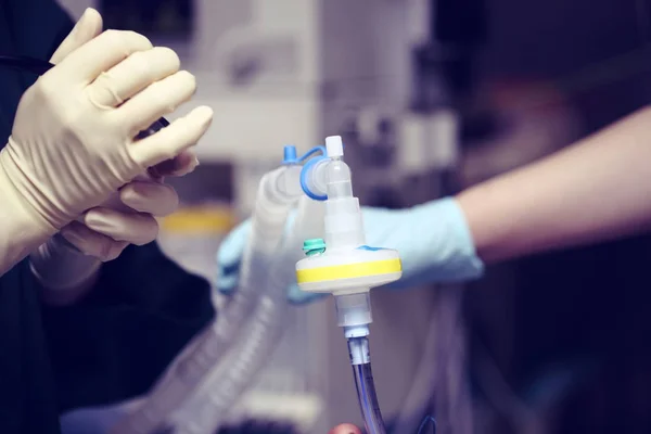 Lavoro nell'unità di cura critica dell'ospedale — Foto Stock