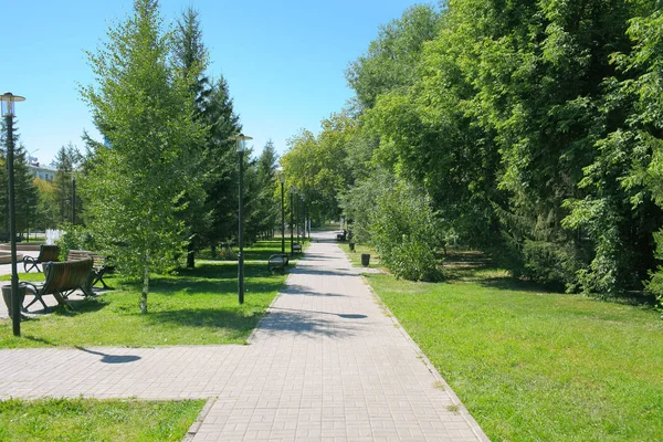 Городской парк в яркий летний день — стоковое фото