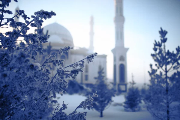 Mezquita blanca en la mañana de invierno y los árboles cubiertos con ho —  Fotos de Stock