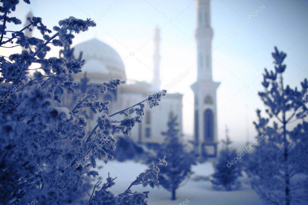 White mosque in the winter morning and the trees covered with ho