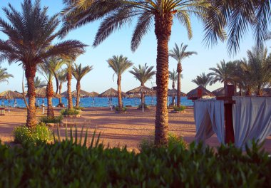 Palmiye ağaçları ve plaj şemsiyeleri sabah Deniz Manzaralı 