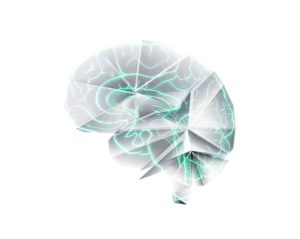 Model ORJ tarzında kağıttan katlanmış insan beyninin — Stok fotoğraf
