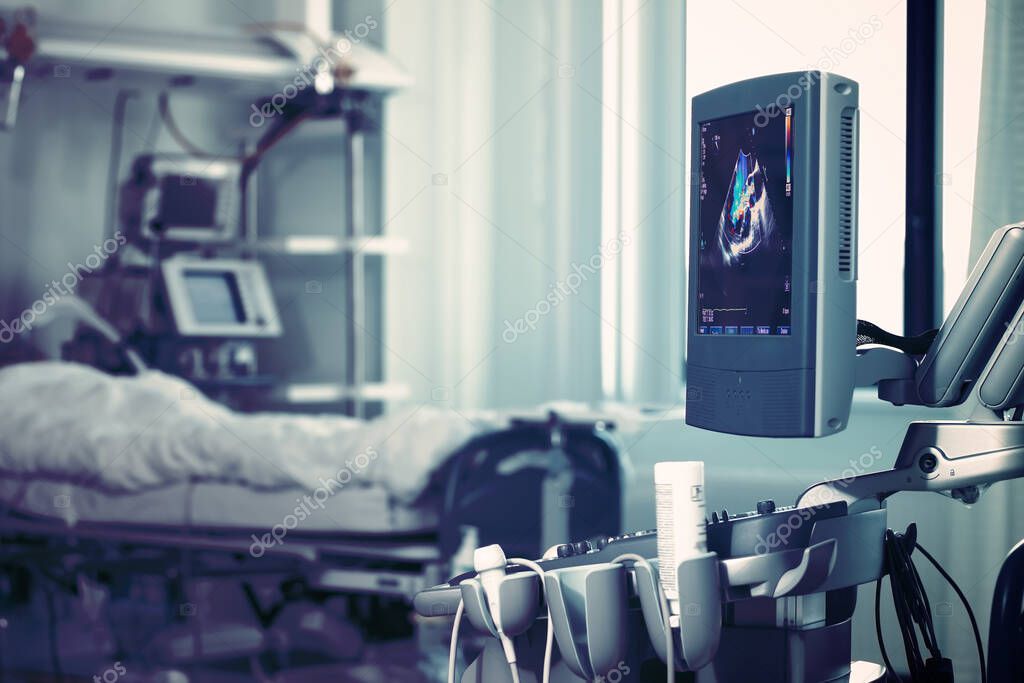 Técnica avanzada para la ecoscopia por el paciente crítico bajo el