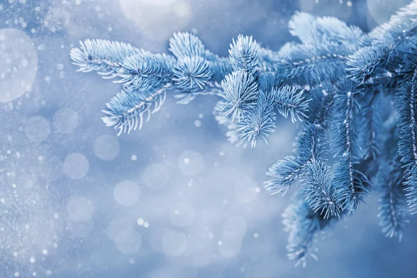 Año Nuevo Navidad Fondo Nieve Con Ramas Abeto Las Heladas —  Fotos de Stock