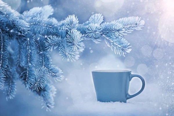 Cup Hot Warming Drink Nature Snow Background Fir Branch Snowflakes — Stock Photo, Image