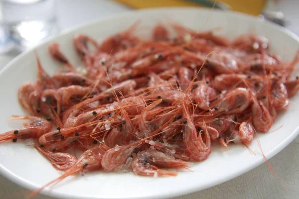 Crevettes Rouges Méditerranéennes Fruits Mer Sur Une Assiette Blanche Assaisonnées — Photo