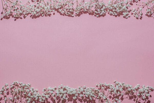 Pink background with a frame of white flowers, twigs with blooming gypsophila on a pink background