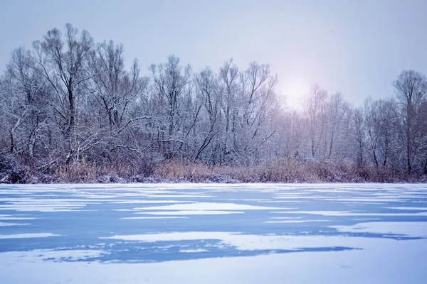 Зимний Пейзаж Рекой Морозный День Лед Реке Солнце Над Лесом — стоковое фото
