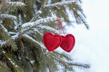 Karlı bir Noel ağacında asılı iki kırmızı el yapımı yün kalp, klasik Noel ağacı süslemeleri, Sevgililer Günü konsepti.