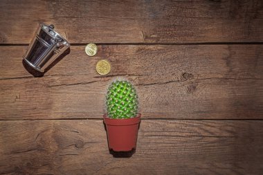 Watering plants with coins, taking care of future income. Long term investment. The concept of savings and growth of money. 