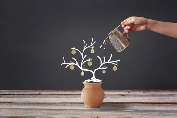 money tree is drawn in chalk on a black board, coins are like fruits, a female hand is watering a plant with money, investment concept, revenue growth