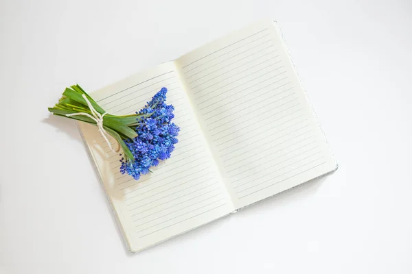 Ein Strauß Der Ersten Frühlingsblumen Muscari Frühlingshintergrund Der Frühling Kommt — Stockfoto