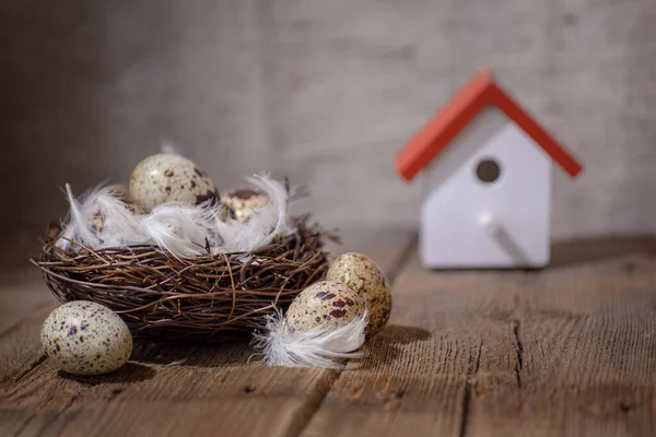 Nest Auf Holzgrund Mit Eiern Und Federn Ein Haus Hintergrund — Stockfoto