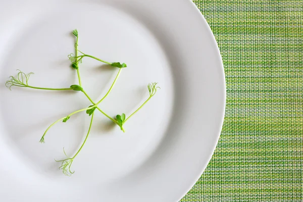 Gröna Färska Unga Ärtor Groddar Vit Tallrik Begreppet Hälsosam Kost — Stockfoto