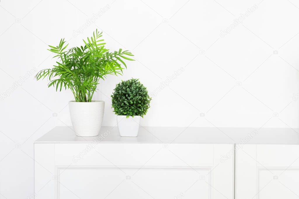 horizontal image of a bright living room with two houseplants in a ceramic pots in front of a white wall on a white cupboard with copy space. Minimalistic concept of white home interior 