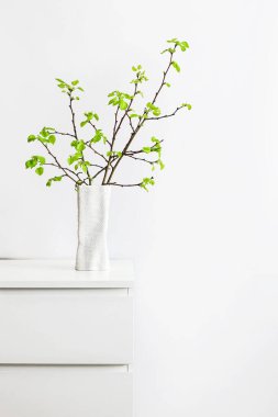 Beyaz bir vazoda yeşil yapraklar ve filizler, beyaz bir iç kısımda bahar çiçekleri.