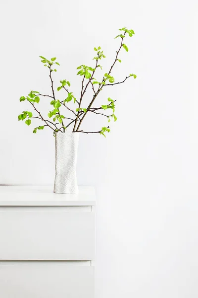 Hojas Jóvenes Verdes Brotes Jarrón Blanco Ramo Primavera Interior Blanco — Foto de Stock