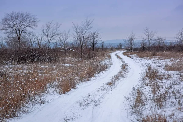 Заснеженная Местная Сельская Дорога Зимняя Дорога Среди Полей Ухабистая Узкая — стоковое фото
