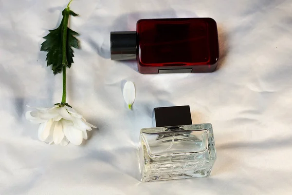 Przezroczyste Szklane Modne Butelki Perfum Zapachy Wody Leżą Srebrny Szary — Zdjęcie stockowe