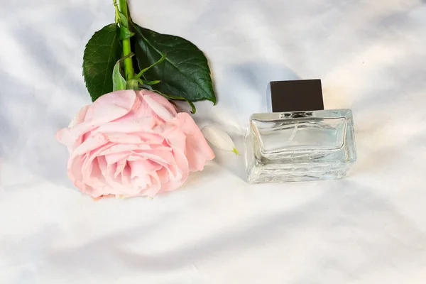 Wiele Kolorowych Modnych Butelek Perfum Zapachy Wody Leżą Srebrny Szary — Zdjęcie stockowe