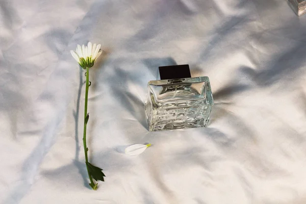 Przezroczyste Szklane Modne Butelki Perfum Zapachy Wody Leżą Srebrny Szary — Zdjęcie stockowe
