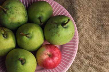 Yeşil sarı organik armutlar ve diğerlerine benzemeyen küçük kırmızı bir elma, hassas pembe tabakta, kaba bir retro bez tuval üzerinde. Meyvelerin karanlık atmosferik fotoğrafı, sonbahar ekim ayının en iyi manzarası.