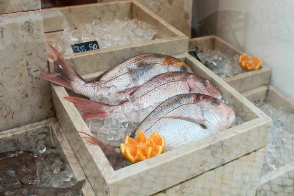 Fresh whole dorado fish lies beautifully aesthetically on the ice on the counter in a shop restaurant window farmers market — Stock Image Fresh Whole Dorado Fish Lies Beautifully Aesthetically Ice Counter Shop Stock Picture