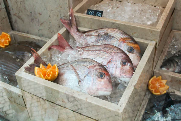 Fresh whole dorado fish lies beautifully aesthetically on the ice on the counter in a shop restaurant window farmers market — Stock Image Fresh Whole Dorado Fish Lies Beautifully Aesthetically Ice Counter Shop Royalty Free Stock Images