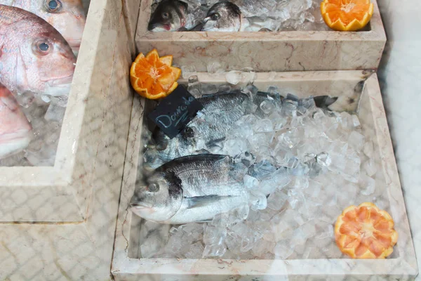 Fresh whole dorado fish lies beautifully aesthetically on the ice on the counter in a shop restaurant window farmers market — Stock Image Fresh Whole Dorado Fish Lies Beautifully Aesthetically Ice Counter Shop Royalty Free Stock Photos