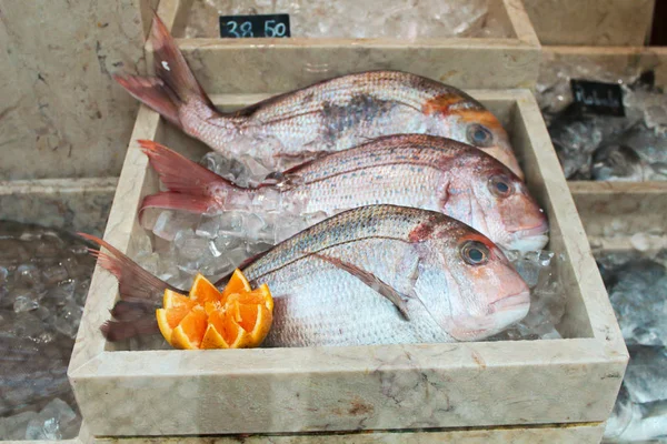Fresh whole dorado fish lies beautifully aesthetically on the ice on the counter in a shop restaurant window farmers market — Stock Image Fresh Whole Dorado Fish Lies Beautifully Aesthetically Ice Counter Shop Stock Image