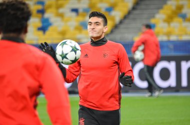 Dinamo Kiev vs Sl Benfica UEFA Şampiyonlar Ligi maçı