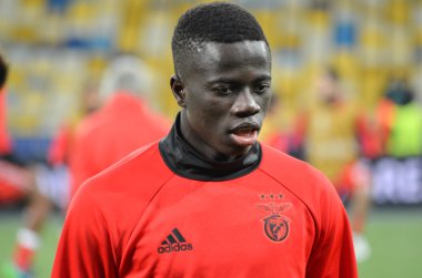 Dinamo Kiev vs Sl Benfica UEFA Şampiyonlar Ligi maçı