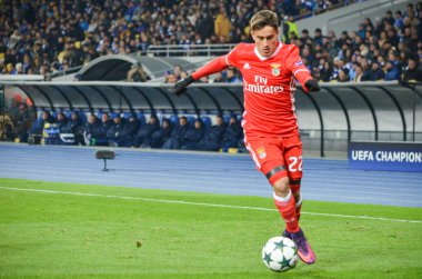 Kiev, Ukrayna - 19 Ekim 2016: Franco Cervi Uefa şampiyonu sırasında