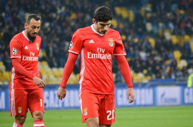 Dinamo Kiev vs Sl Benfica UEFA Şampiyonlar Ligi maçı