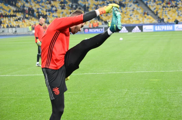 Dinamo Kiev vs Sl Benfica UEFA Şampiyonlar Ligi maçı