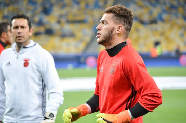 Dinamo Kiev vs Sl Benfica UEFA Şampiyonlar Ligi maçı