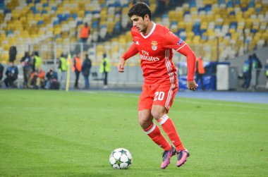 Dinamo Kiev vs Sl Benfica UEFA Şampiyonlar Ligi maçı