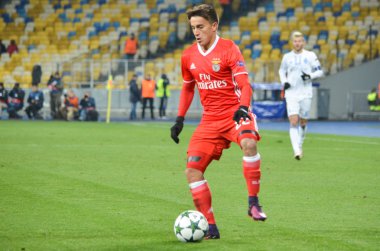 Dinamo Kiev vs Sl Benfica UEFA Şampiyonlar Ligi maçı