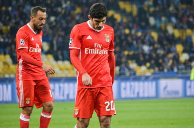 Dinamo Kiev vs Sl Benfica UEFA Şampiyonlar Ligi maçı