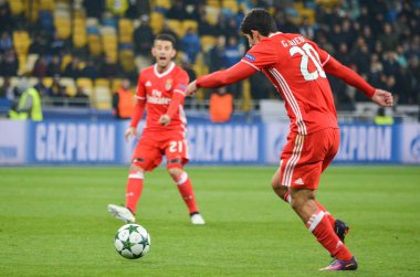 Dinamo Kiev vs Sl Benfica UEFA Şampiyonlar Ligi maçı