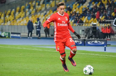 Kiev, Ukrayna - 19 Ekim 2016: Franco Cervi Uefa şampiyonu sırasında