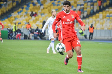 Dinamo Kiev vs Sl Benfica UEFA Şampiyonlar Ligi maçı