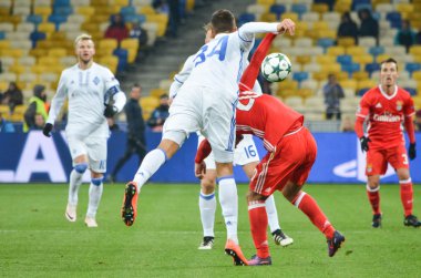 Dinamo Kiev vs Sl Benfica UEFA Şampiyonlar Ligi maçı