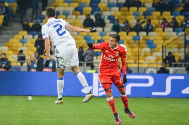 Dinamo Kiev vs Sl Benfica UEFA Şampiyonlar Ligi maçı