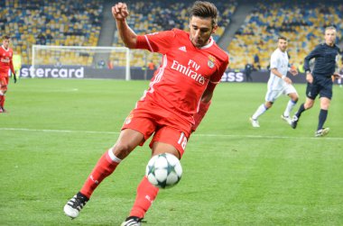 Dinamo Kiev vs Sl Benfica UEFA Şampiyonlar Ligi maçı