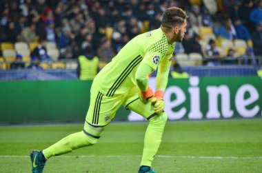 Dinamo Kiev vs Sl Benfica UEFA Şampiyonlar Ligi maçı