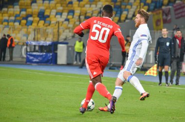 Dinamo Kiev vs Sl Benfica UEFA Şampiyonlar Ligi maçı