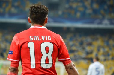 Dinamo Kiev vs Sl Benfica UEFA Şampiyonlar Ligi maçı
