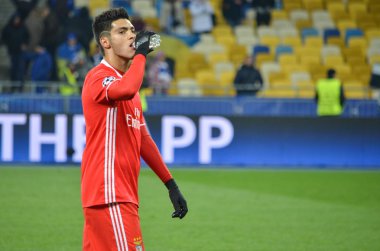 Dinamo Kiev vs Sl Benfica UEFA Şampiyonlar Ligi maçı